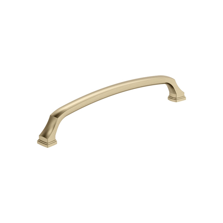 Amerock - Revitalize Pulls - 2dd1e678-254d-4784-acad-2e27560183ff-1000x1000.webp