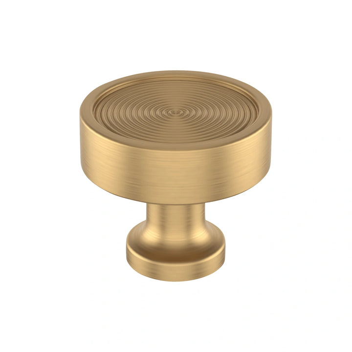 Amerock - Dupont Circle Knobs - 4e2d80a5-95f0-4a41-9e57-e355908626a0-1000x1000.webp
