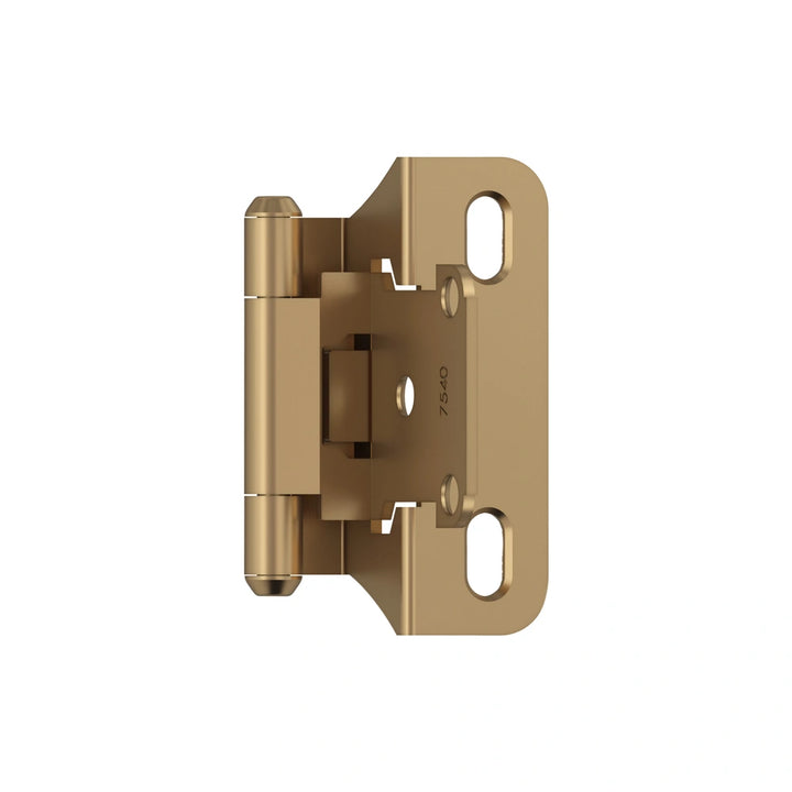 Amerock - Decorative Hinges - Decorative Face Frame, Self-Closing (1/4in Overlay) - 6bc68b1e-0898-408d-aacc-4bdff3d01be4-1000x1000.webp