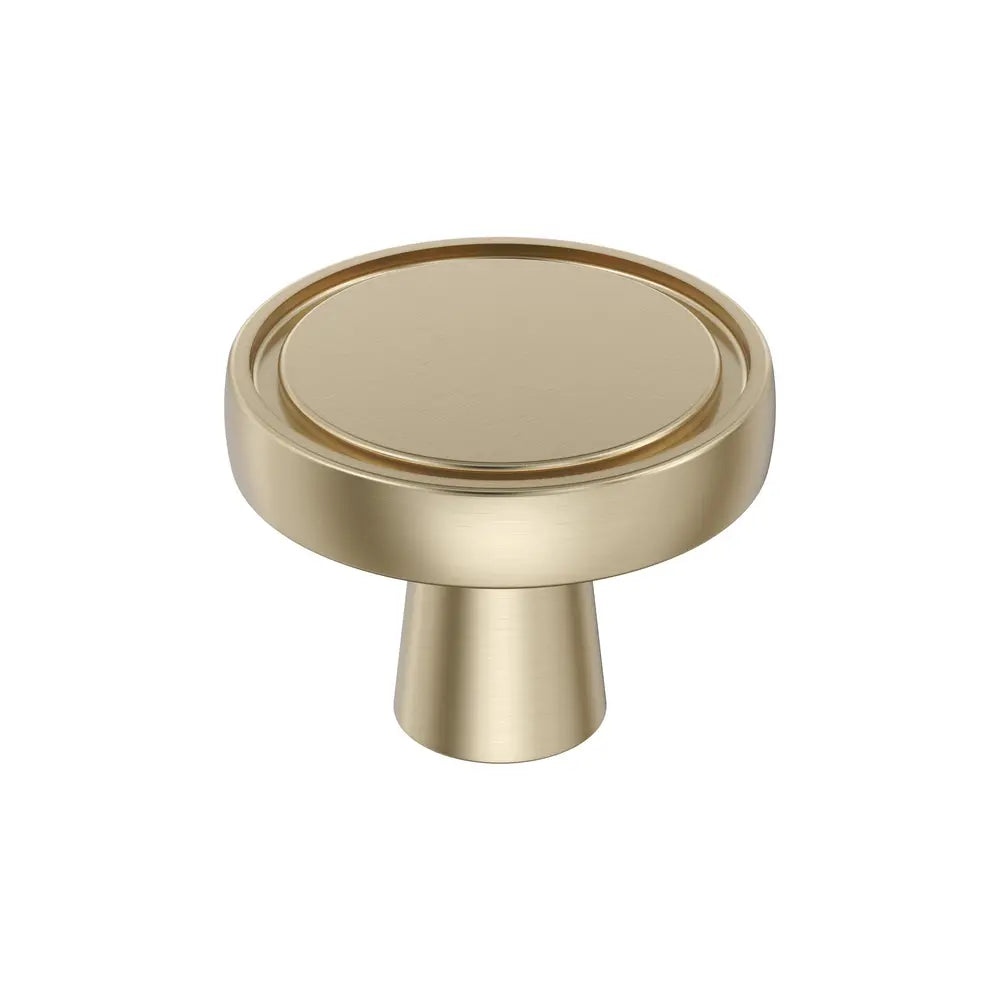 Amerock - Destine Knobs - a28a861a-3e93-4d6c-958a-3bf9487468aa-1000x1000.webp
