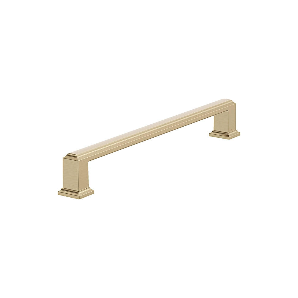 Amerock - Appoint Appliance Pulls - bdfb9a28-9106-4161-8373-7500bf726ee6-1000x1000.webp
