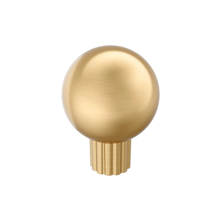 Amerock - Cowrie Knobs - ec0a152f-5861-4bf0-b7fd-8718a2d7d3d5-1000x1000.webp